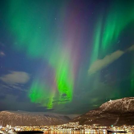 Leilighet Ved Havet Med Utsikt Over Tromsoysundet. Extérieur photo