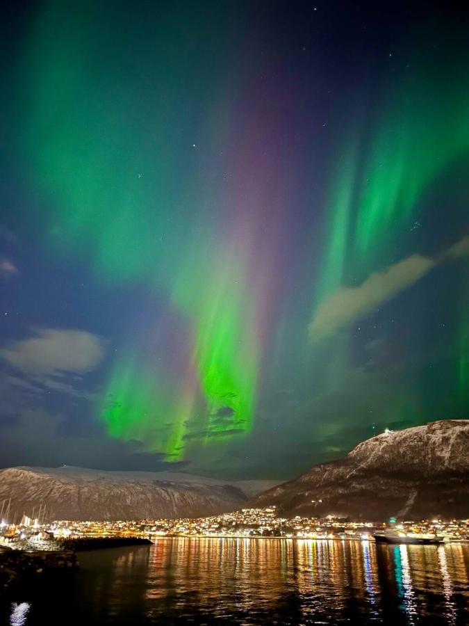 Leilighet Ved Havet Med Utsikt Over Tromsoysundet. Extérieur photo
